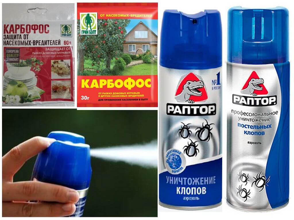 Карбофос и Раптор в борьбе с клопами
