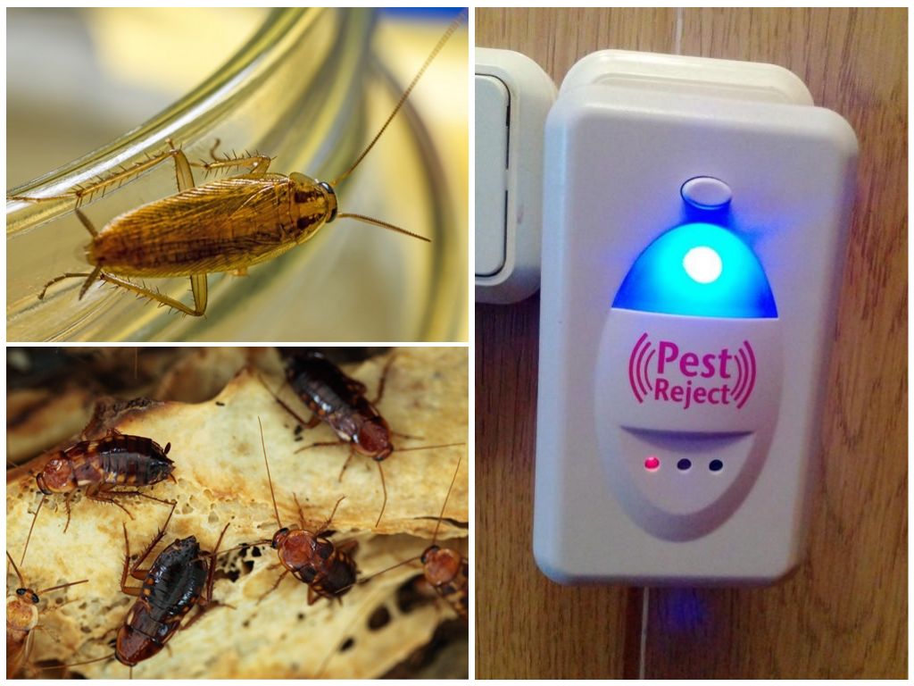 Ультразвуковой отпугиватель Pest Reject от тараканов