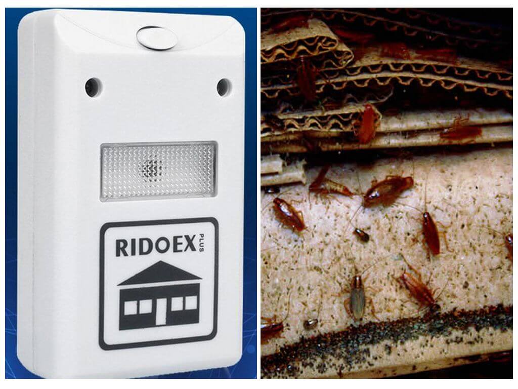 Pest Repelling Aid в борьбе с прусаками