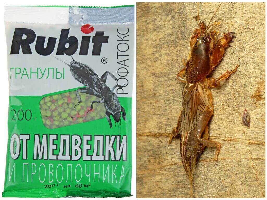 Рубит Рофатокс гранулы от медведки и проволочника