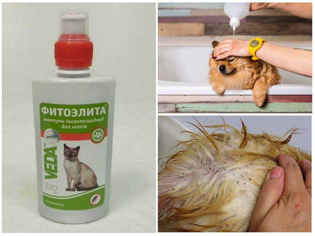 Шампуни для питомцев