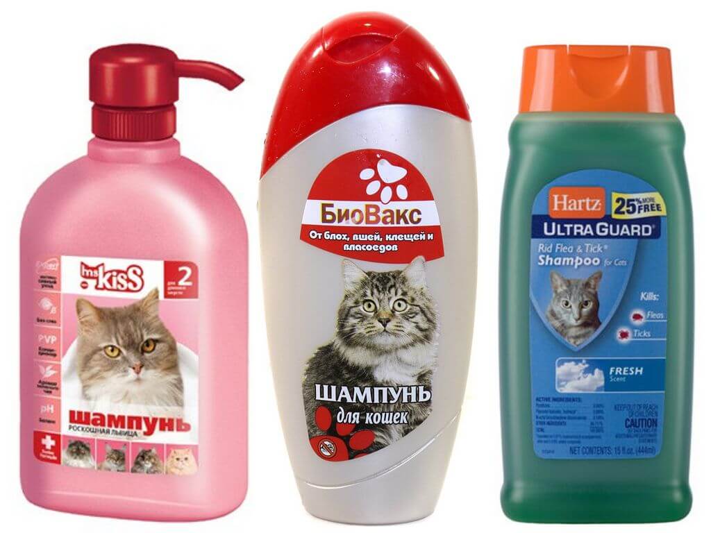 Шампуни от блох для котят и кошек