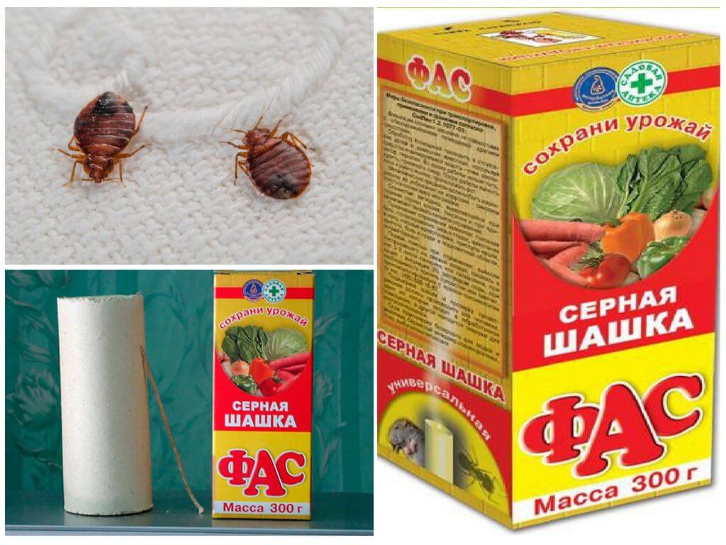 Серная шашка Фас от клопов