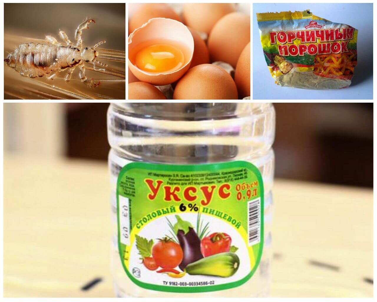 Смесь с горчицей и уксусом от вшей