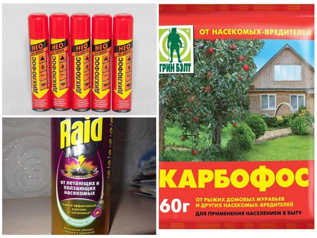 Спреи и порошки от тараканов