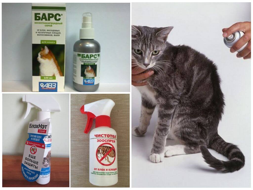 Спреи для кошек от блох