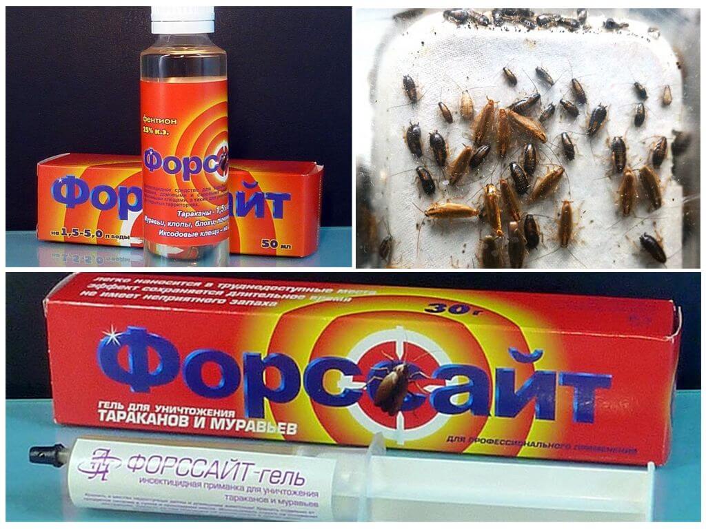 Средства Форсайт от тараканов