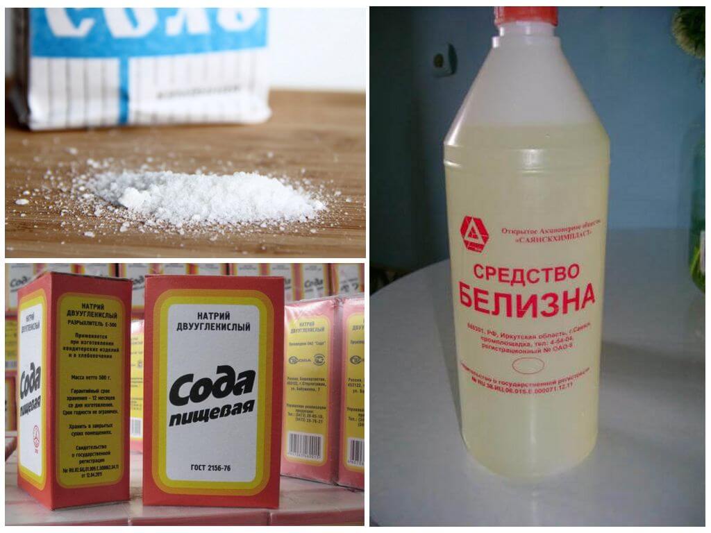 Народные средства для борьбы с паразитами