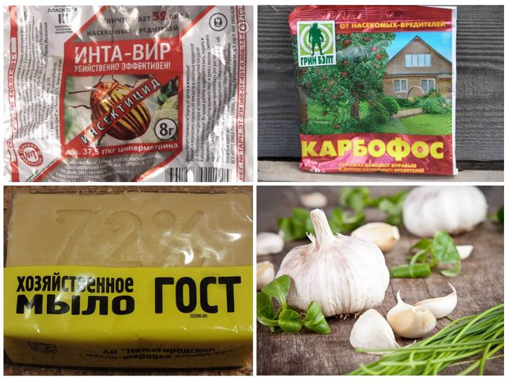 Средства борьбы с муравьями