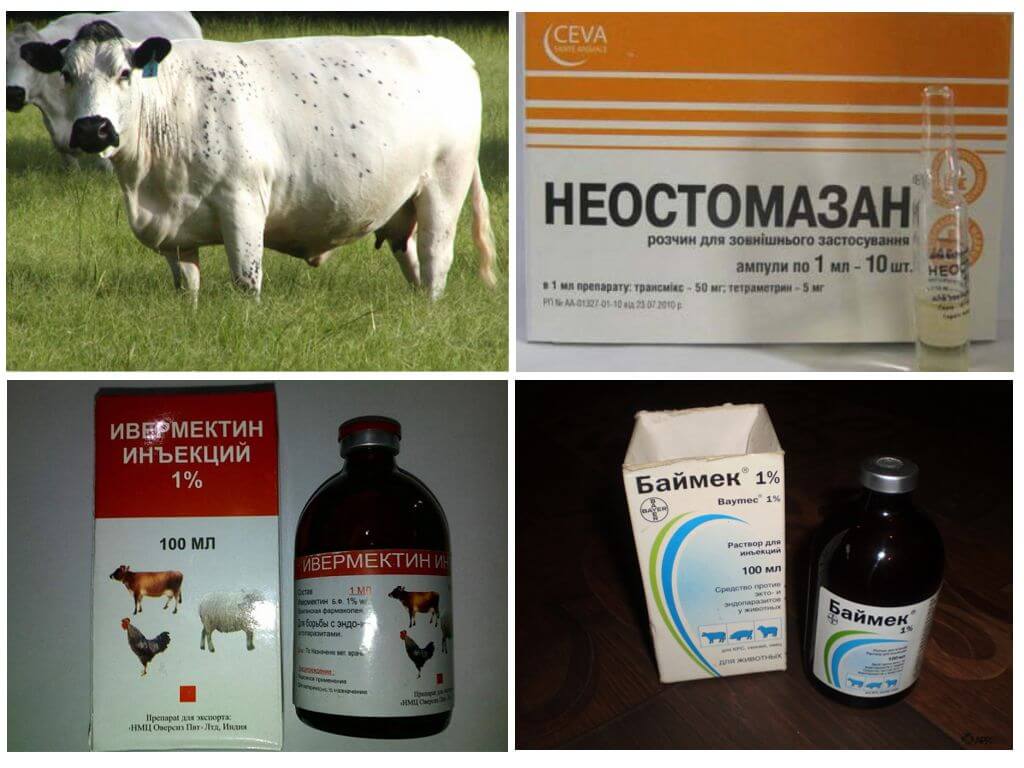 Средства от паразитов
