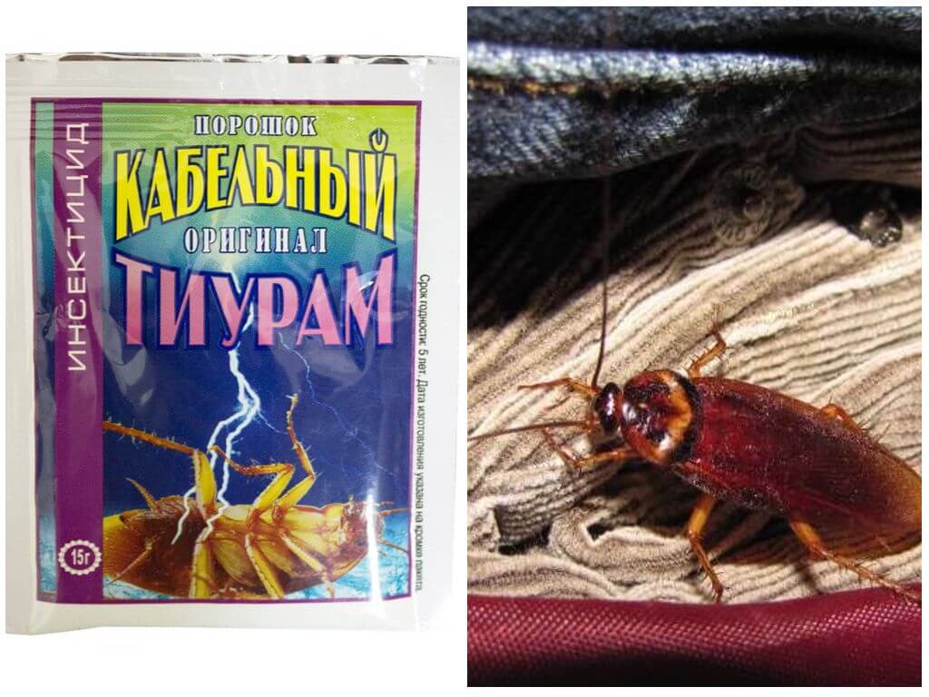 Тиурам от тараканов