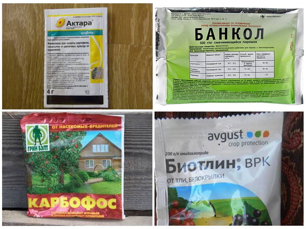 Химические инсектициды для борьбы с насекомыми