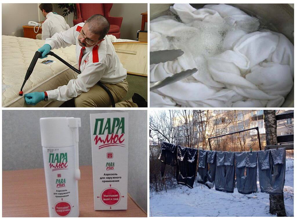 Уничтожение паразитов